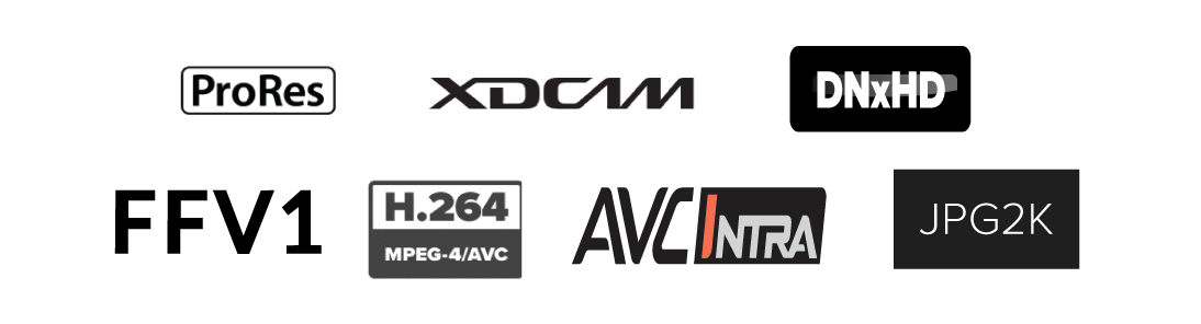 Multiple Codec Options